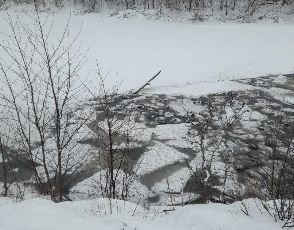 
        Более 200&nbsp;овец утонули в&nbsp;озере в&nbsp;Башкирии    