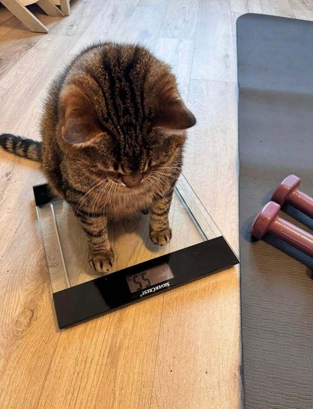 Трагедия в трёх актах