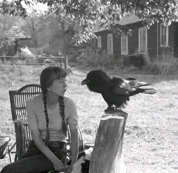 История №1566129