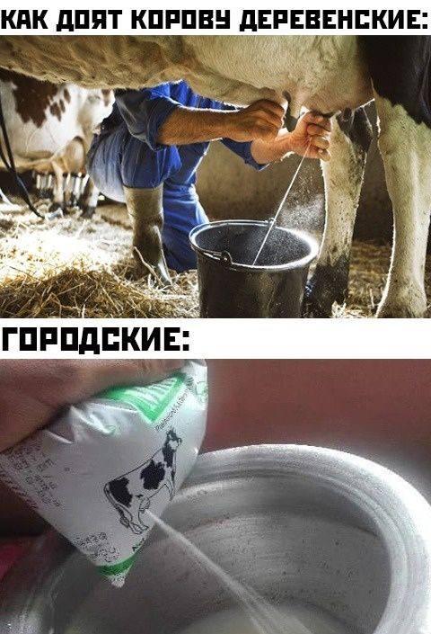 Немного мемов на ночь для хороших снов