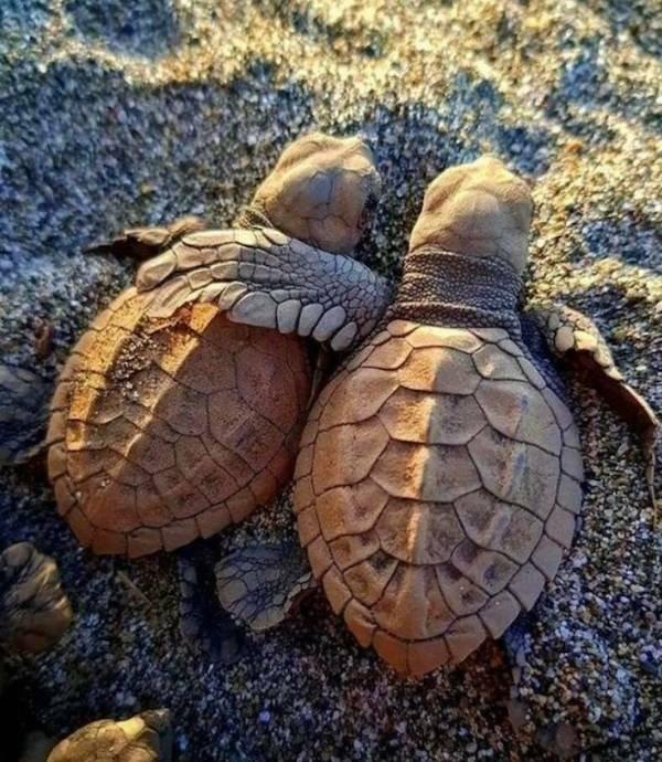 Подборка прикольных фото №3858