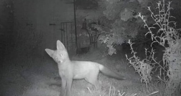 Подборка прикольных фото №3859