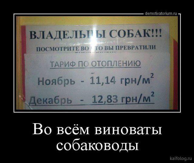 
			Демотиваторы №3778 (15 фото)