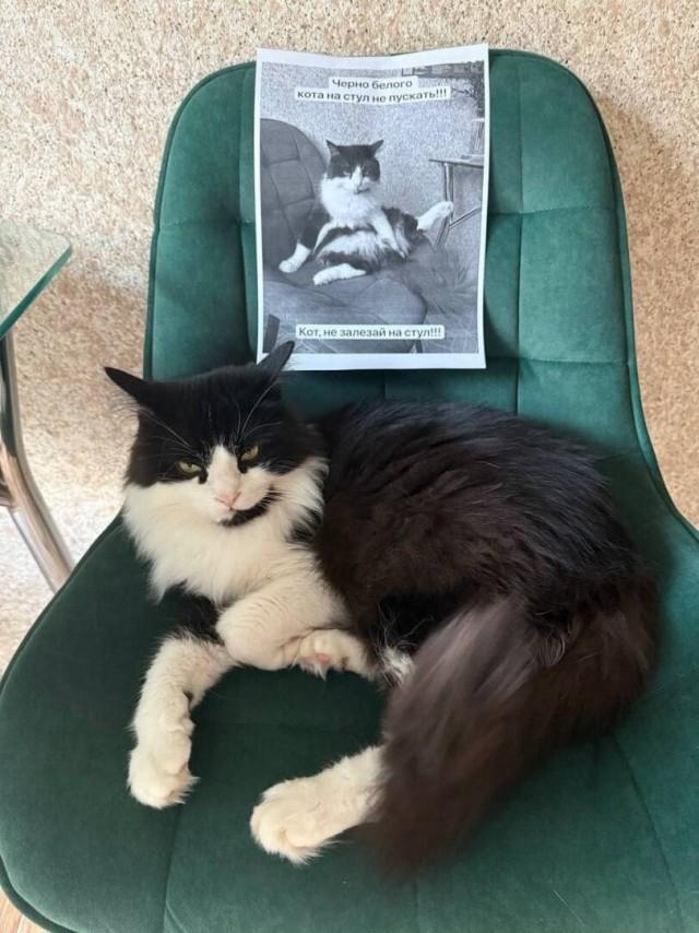 Подборка прикольных фото №3837