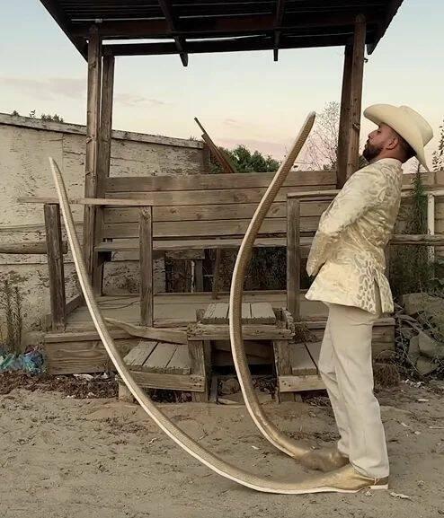 Подборка прикольных фото №3844