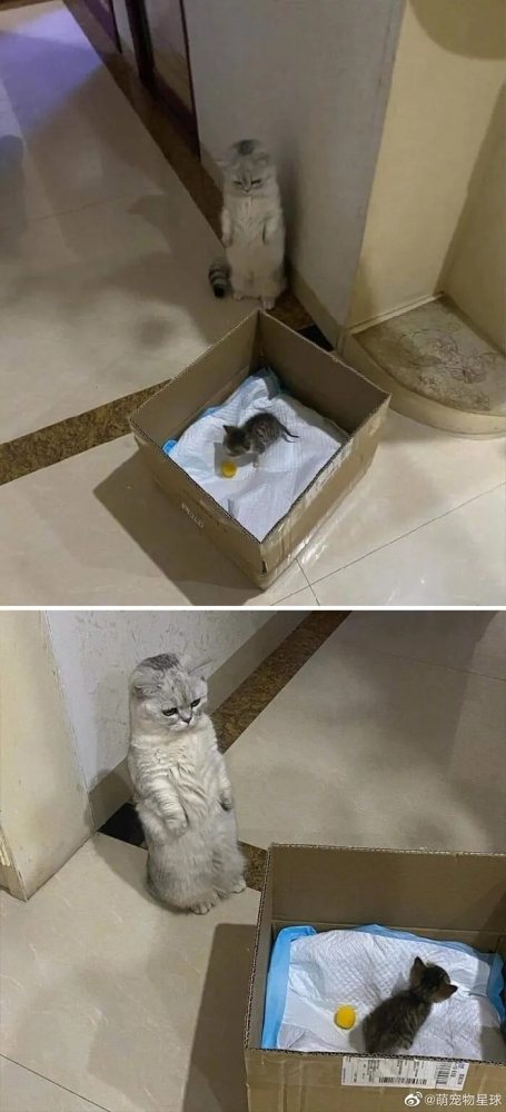 
        Забавные...2    