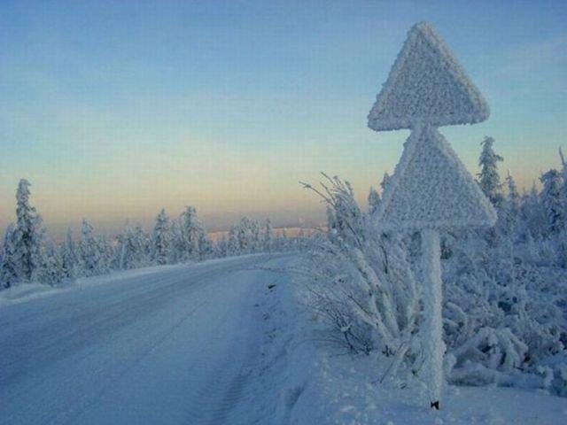 Подборка прикольных фото №3840