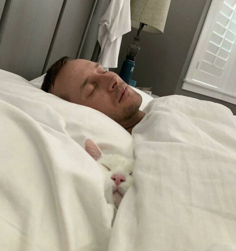 
        20&nbsp;примеров из&nbsp;жизни пушистых в&nbsp;стиле котакшери-лакшери    