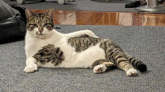 Подборка прикольных фото №3854