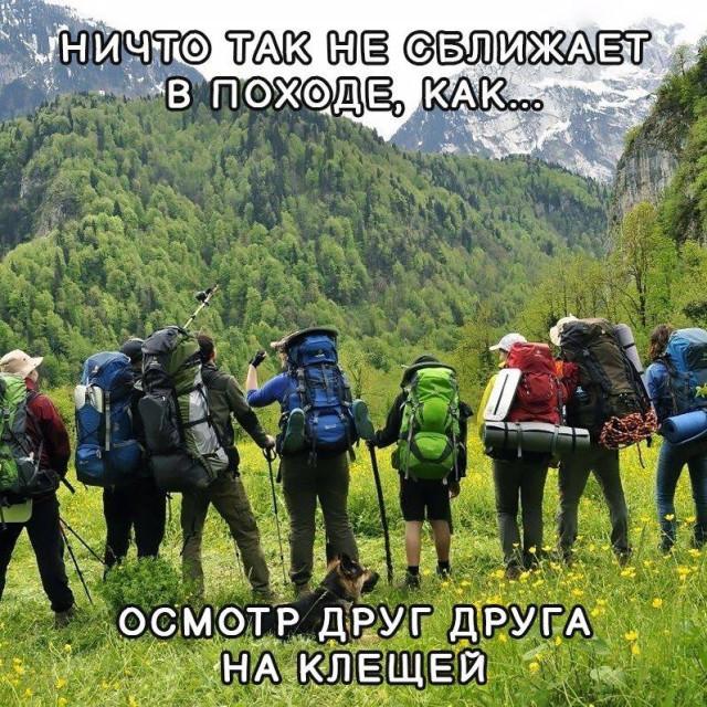 Приколы о путешествиях, поездках и моментах в пути Приколы о путешествиях, поездках и моментах в пути