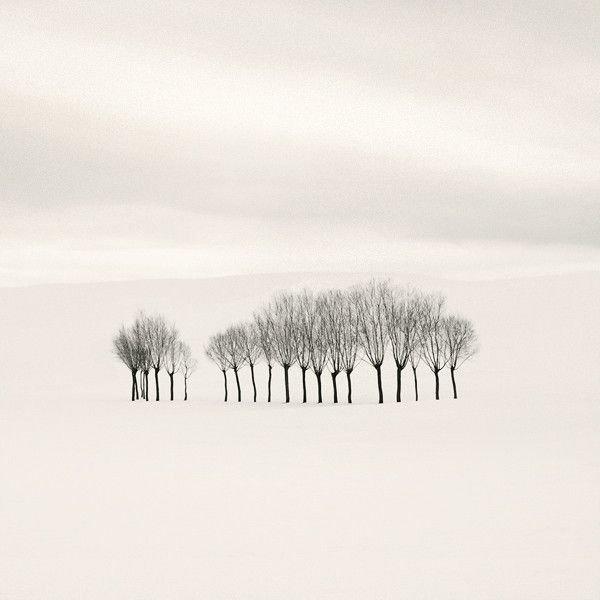 Подборка прикольных фото №3840