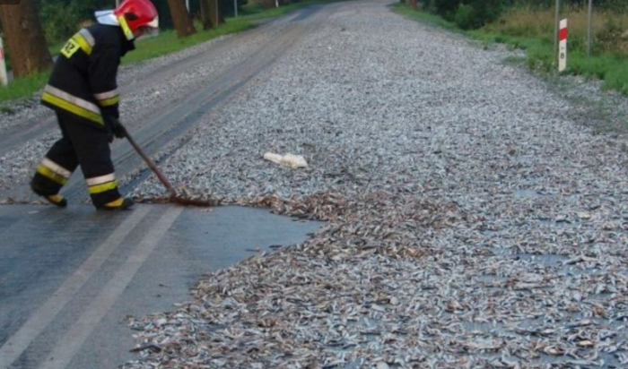 Подборка прикольных фото №3846