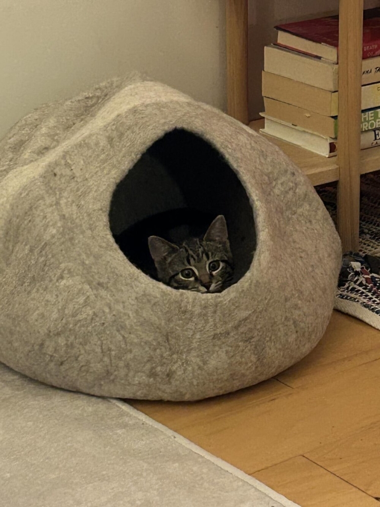 
        20&nbsp;пушистых примеров наполнения нашей жизни глубоким смыслом    