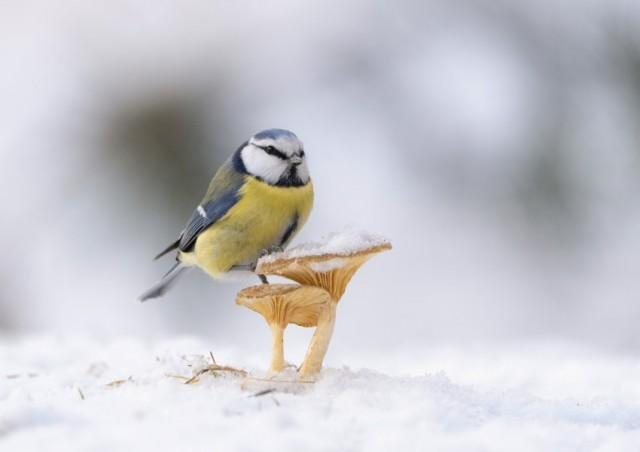 Подборка прикольных фото №3855