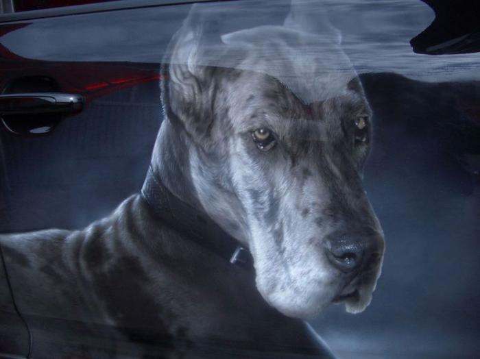 Подборка прикольных фото №3852