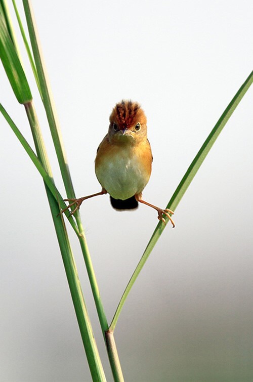 
        Забавные...1    