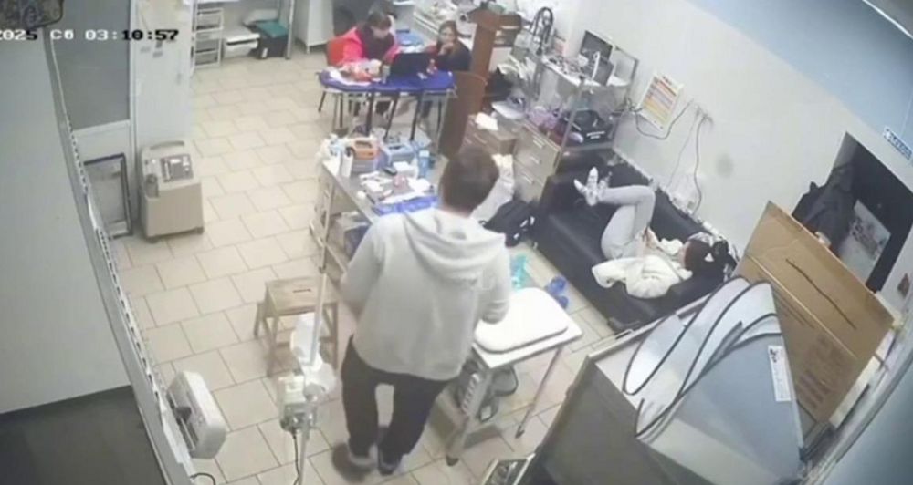 
        В&nbsp;московской ветклинике медики не&nbsp;спешили помогать умирающей собаке    