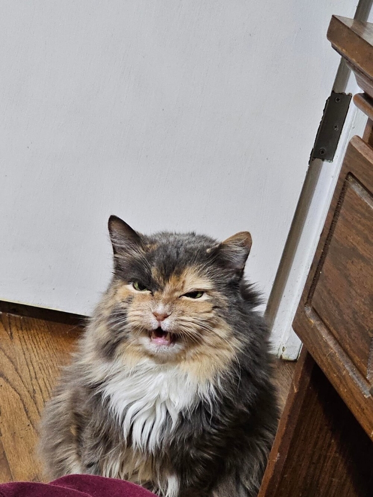 
        20&nbsp;пушистых примеров наполнения нашей жизни глубоким смыслом    