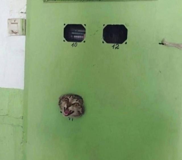 Подборка прикольных фото №3838