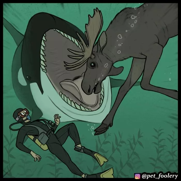 
        Косатка: убийцы синих китов и&nbsp;белых акул    