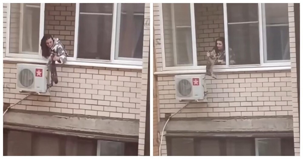 
        В&nbsp;Краснодаре женщина "воспитывала" кошку, свесив её&nbsp;с&nbsp;балкона 3-го этажа    