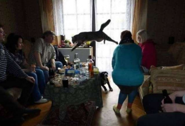 Подборка прикольных фото №3846