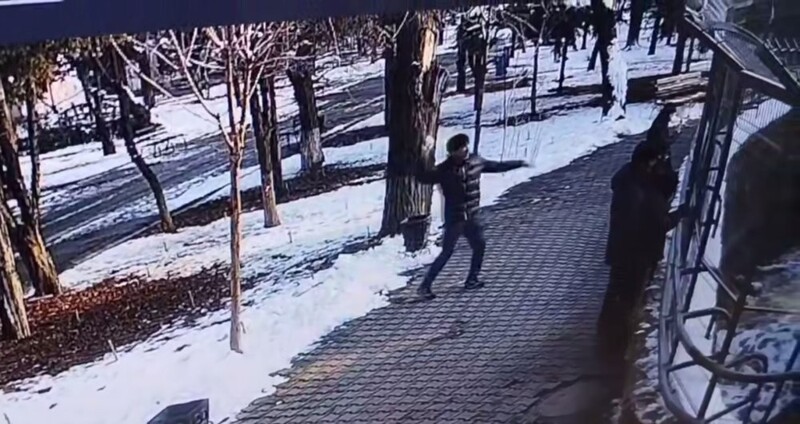 
        Посетитель зоопарка кидал в&nbsp;тигров снежками, стараясь их&nbsp;"расшевелить"    