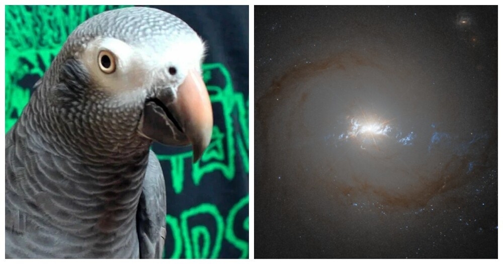 
        10&nbsp;фактов, которые меняют видение привычной реальности    