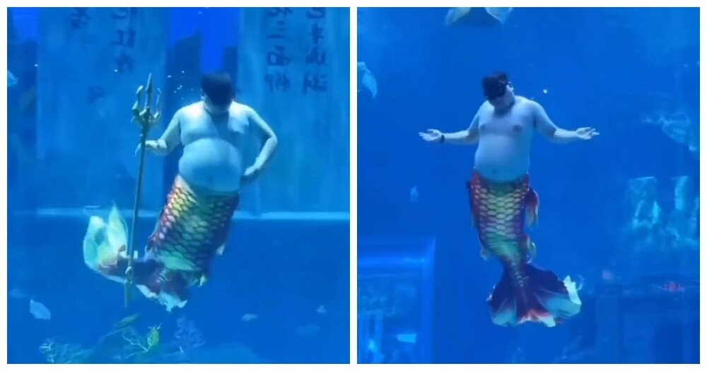 
        В&nbsp;китайском океанариуме показали будни &laquo;русала&raquo; с&nbsp;юмором    