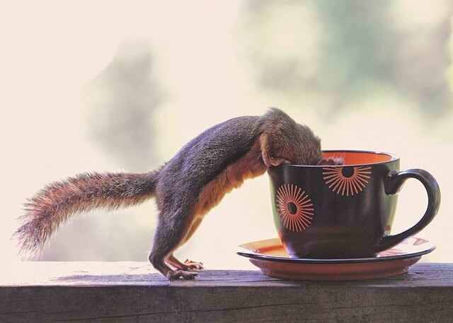 
        Забавные...1    