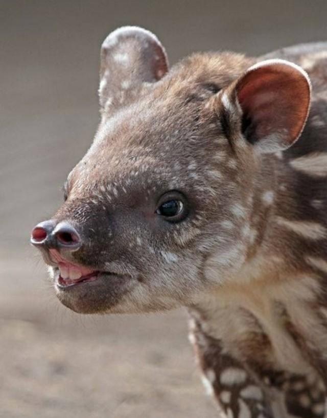 Подборка прикольных фото №3847