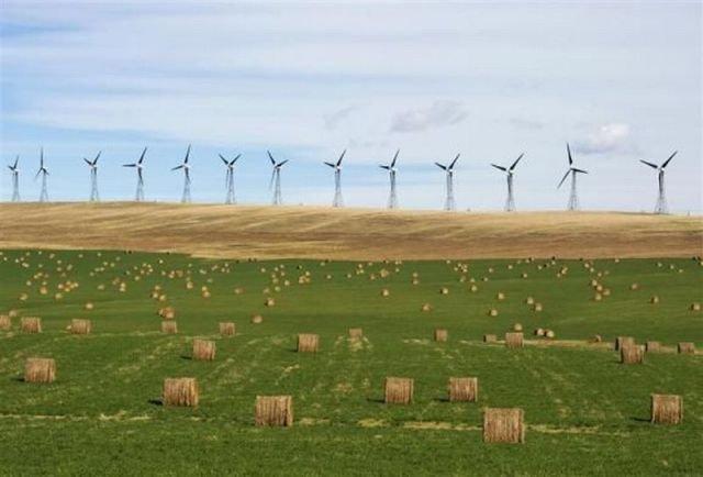 Подборка прикольных фото №3840