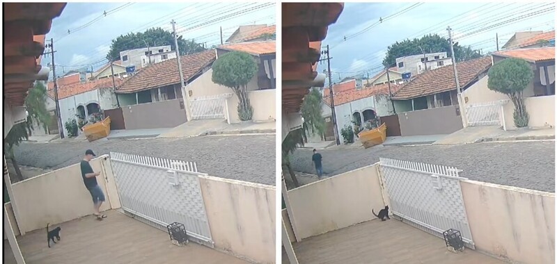 Парень вовремя спас кота от зажима автоматических ворот
Парень вовремя спас кота от зажима автоматических ворот