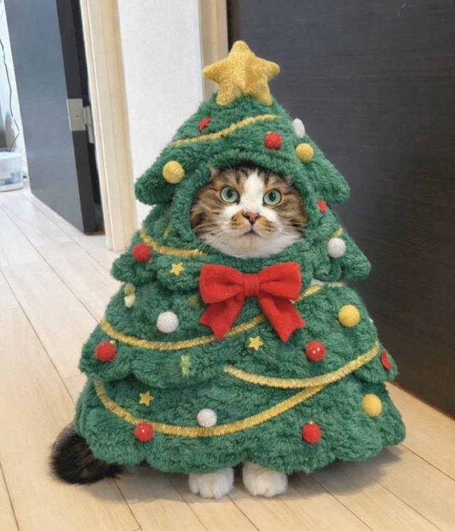 Подборка прикольных фото №3859