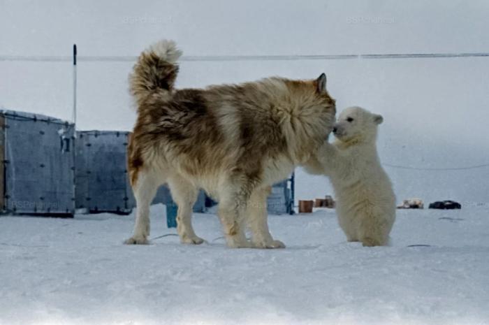 Подборка прикольных фото №3859