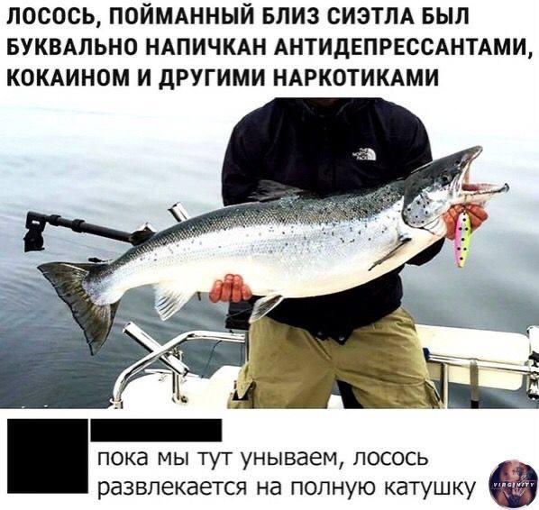 Забавные мемы для хорошего вечера