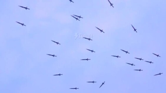 
        Китайский студент управляет летающими мечами    