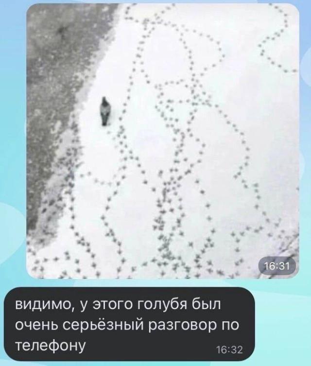 Встречаем зиму с позитивом!