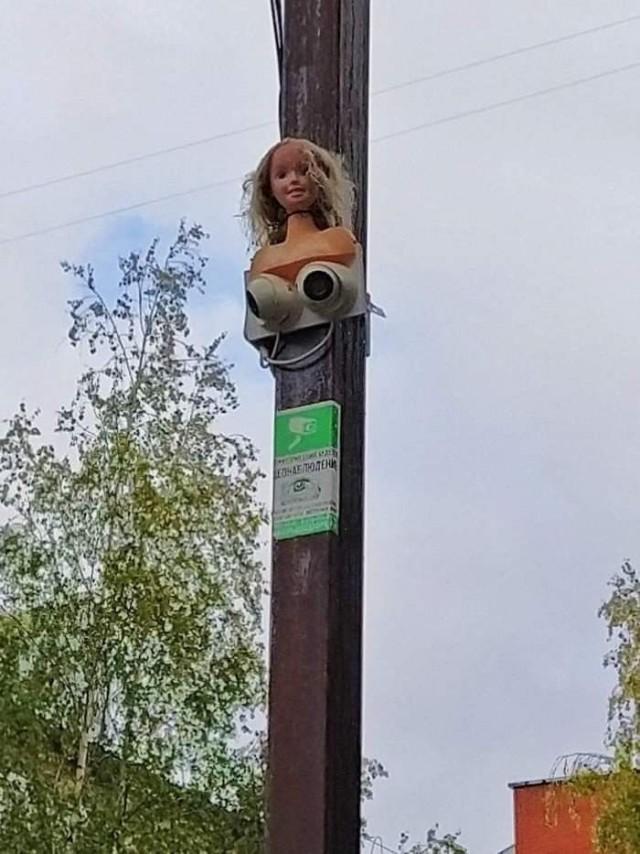 Подборка прикольных фото №3847