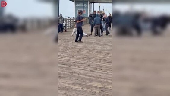 
        Борьба за&nbsp;улов: рыбаки устроили драку на&nbsp;пирсе    