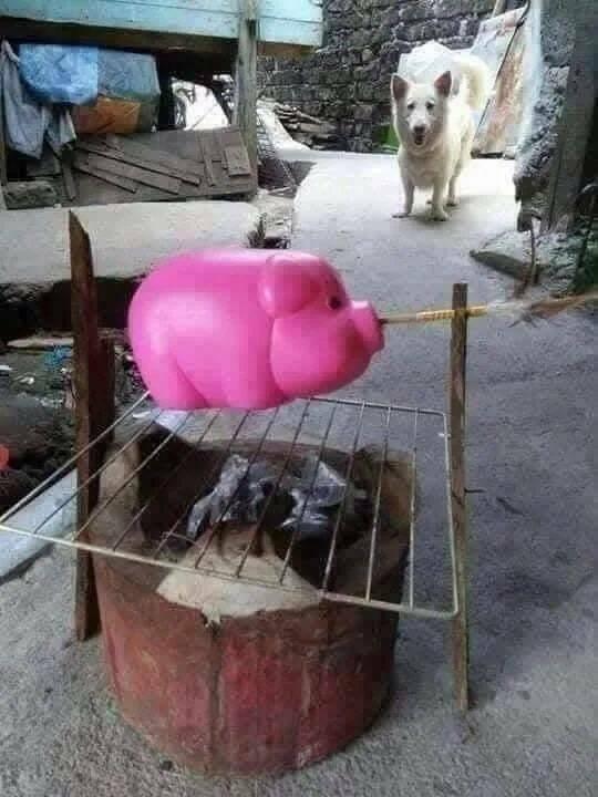 Подборка прикольных фото №3844