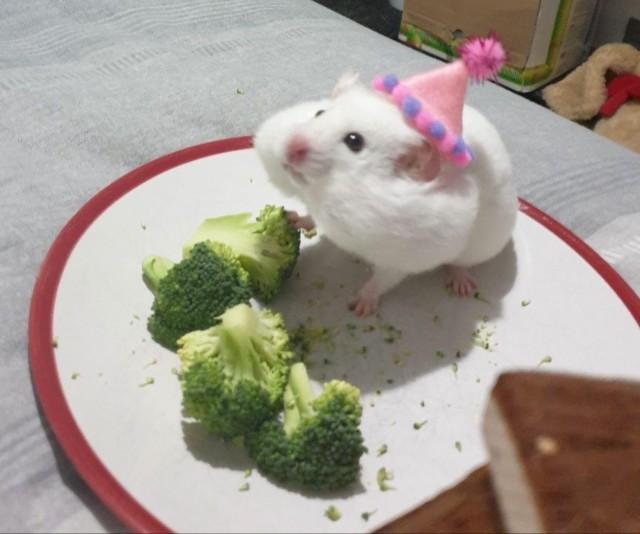 Подборка прикольных фото №3859