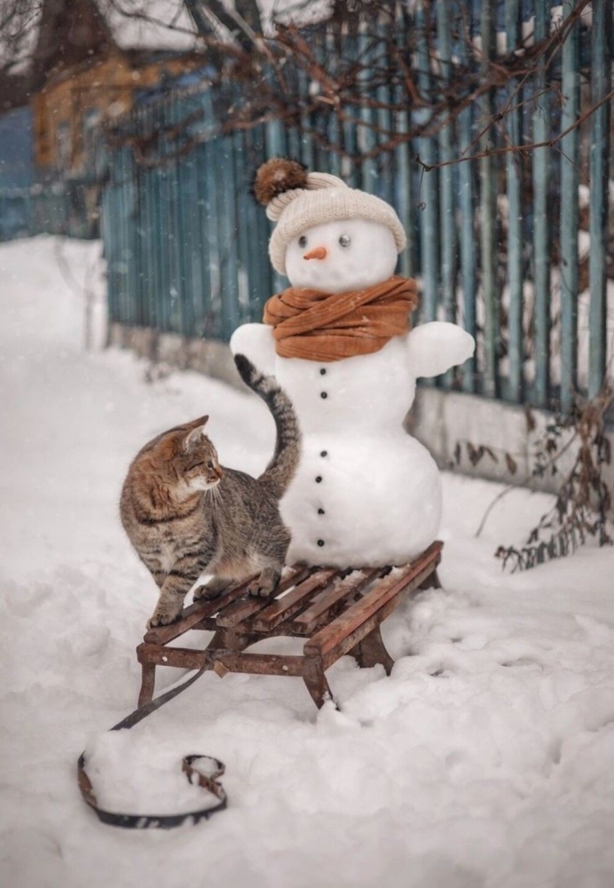 
        25&nbsp;примеров трогательного знакомства домашних питомцев с&nbsp;милыми снеговиками и&nbsp;собственными снежными копиями    