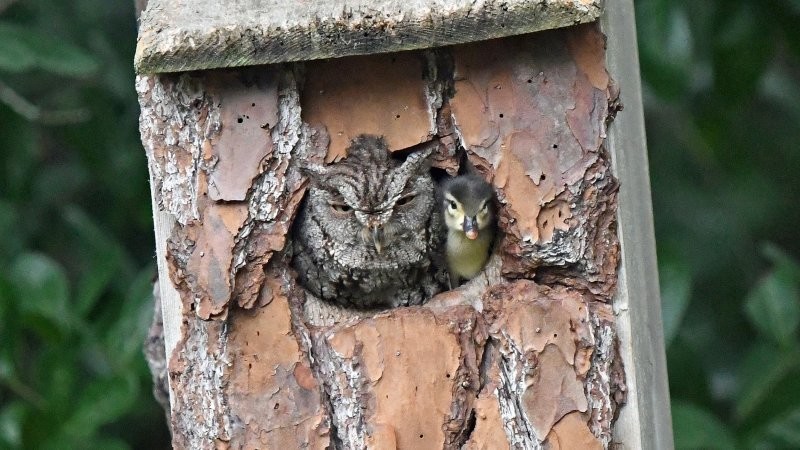 
        20&nbsp;природных диковин, от&nbsp;которых перехватывает дыхание    