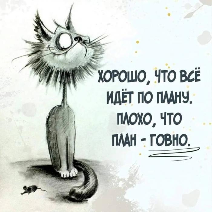 Подборка прикольных фото №3848