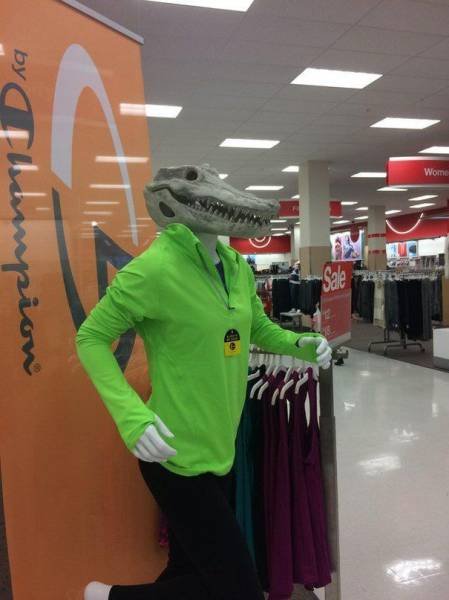 Подборка картинок. Вечерний выпуск - 24.12.2025 (30 фото)