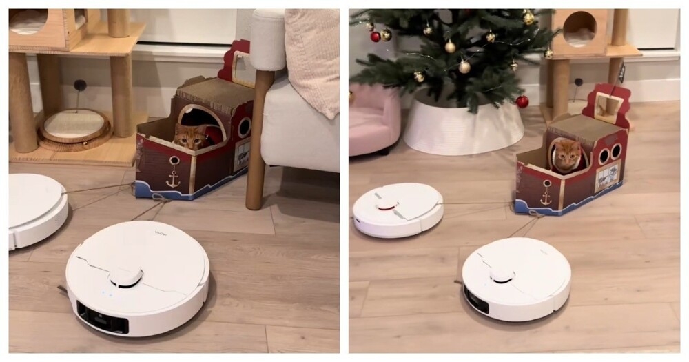 
        Роботы-пылесосы везут кота    