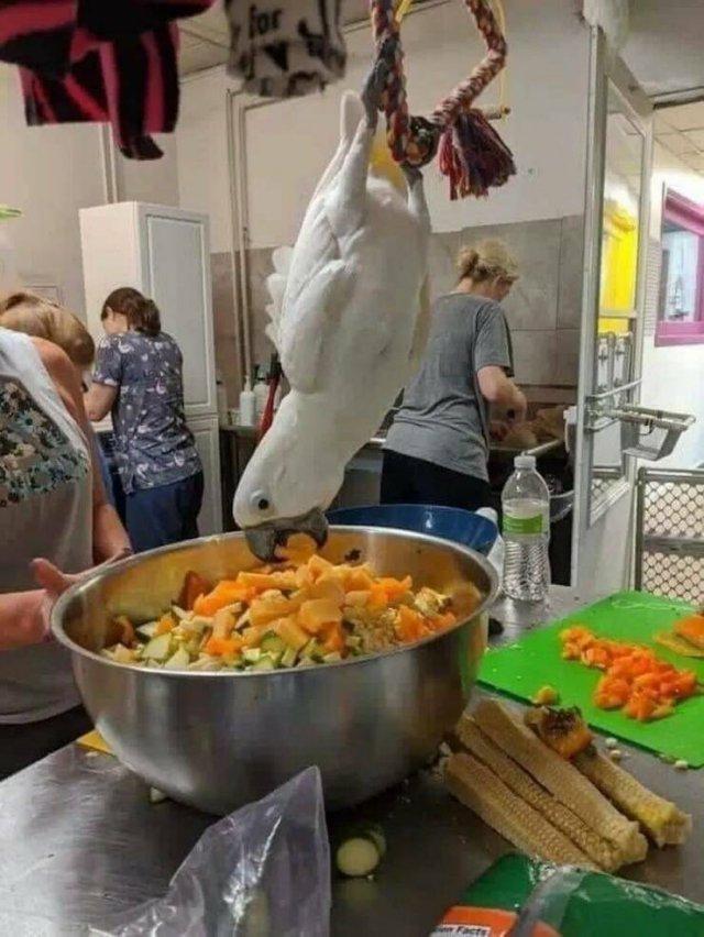 Подборка прикольных фото №3844