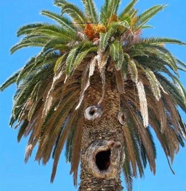 Подборка прикольных фото №3841