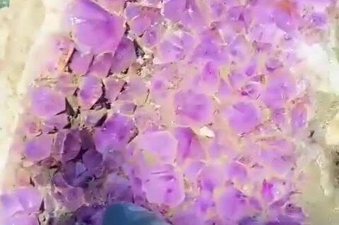 Кладоискателям улыбнулась удача
Кладоискателям улыбнулась удача